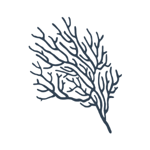 Branches Icon
