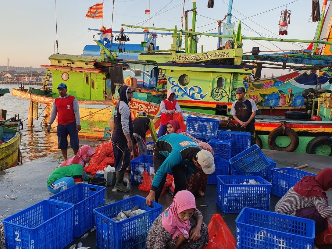 Indonesian fisheries